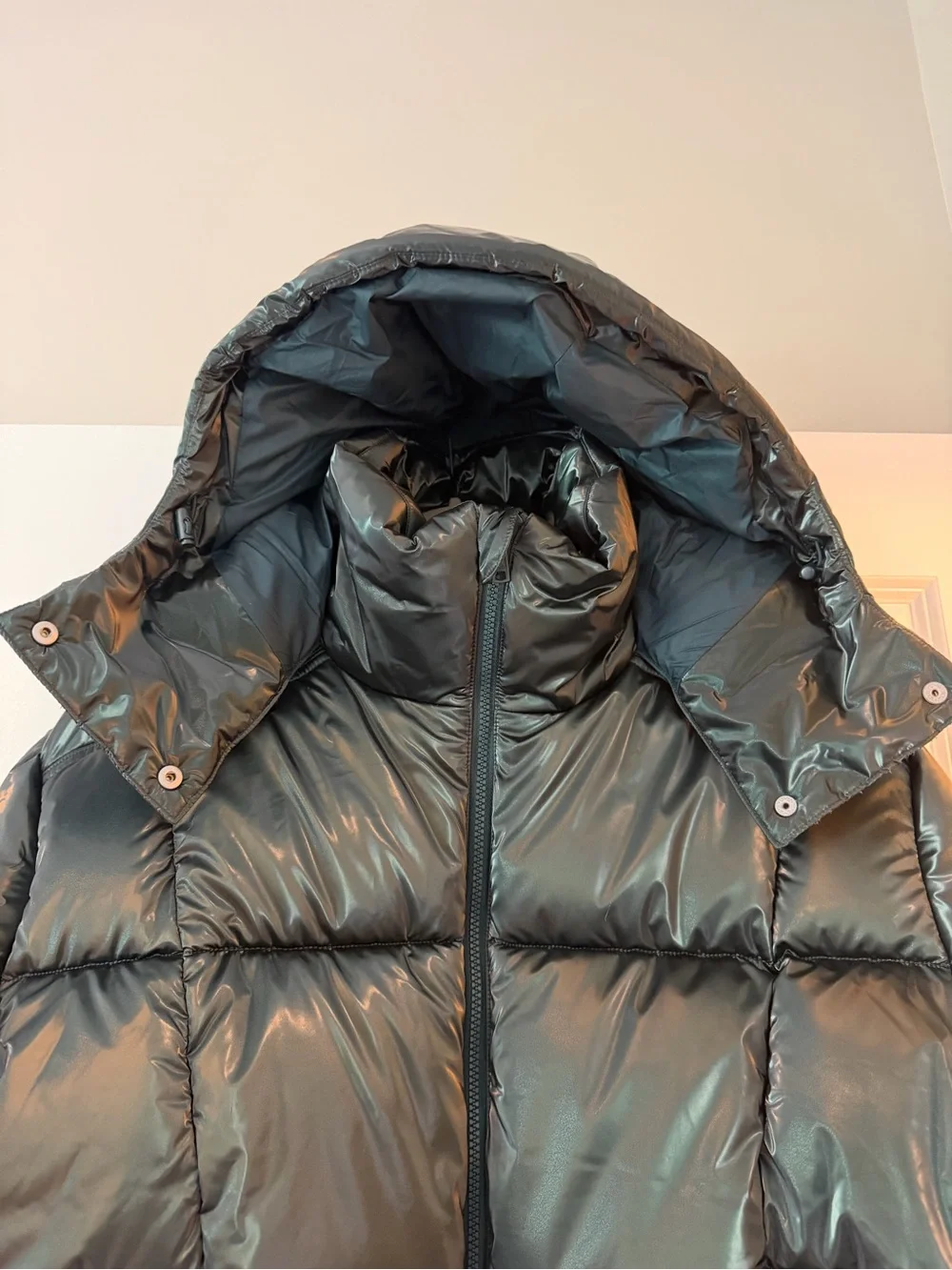 ALO Yoga Green Pearlized Pristine Puffer Jacket